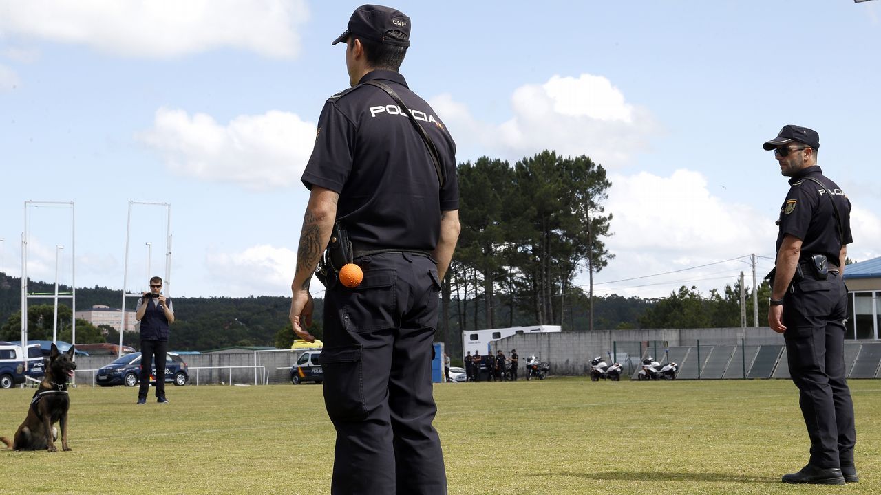Exhibicion de la Policía Nacional para los escolares de Ribeira con helicoptero, caballería, perros de rastreo