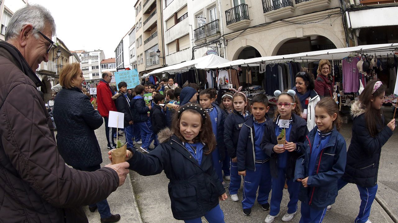 Voz Natura final del colegio Jaime Balmes, entrega de brotes de hortalizas de su huerto escolar 2020