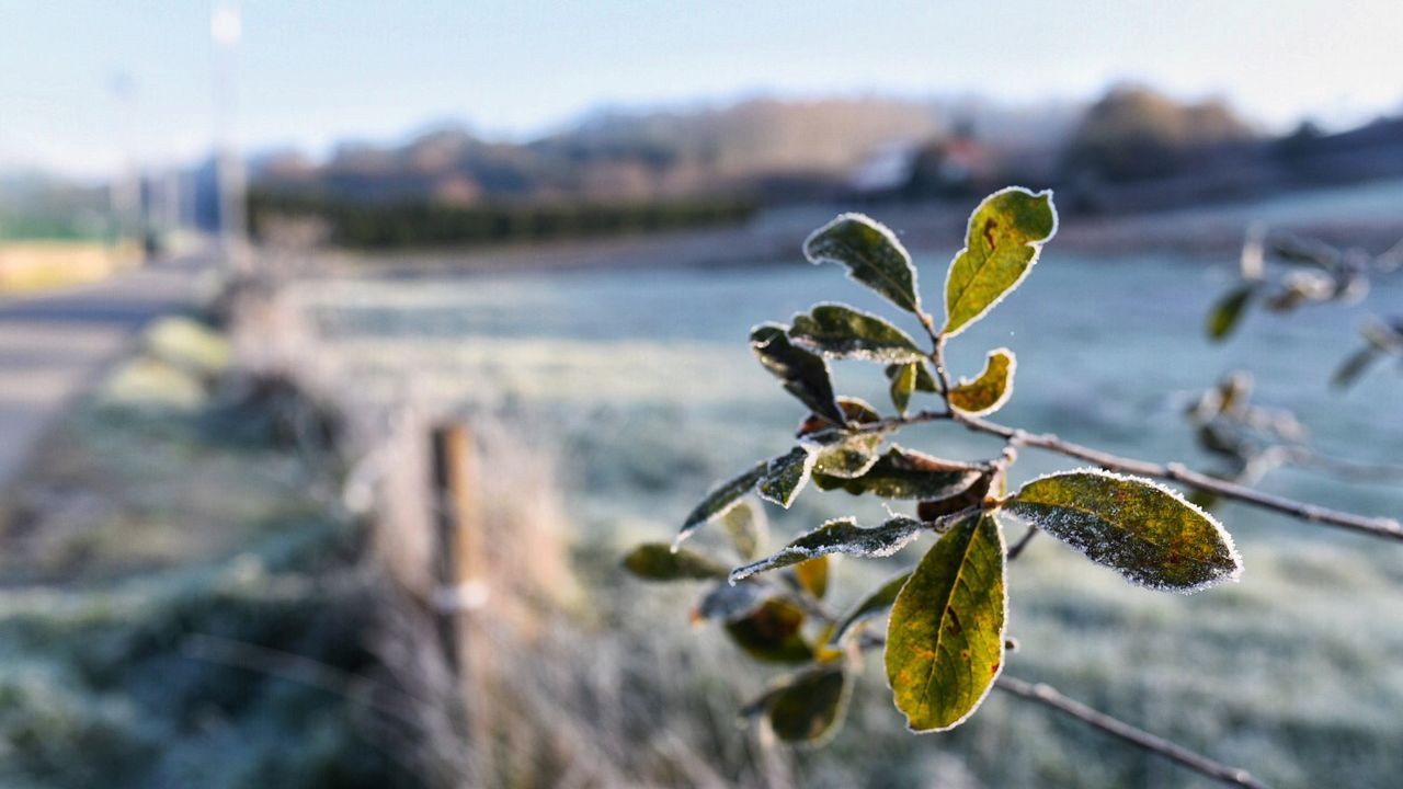 0 grados en Abegondo (A Coruña)