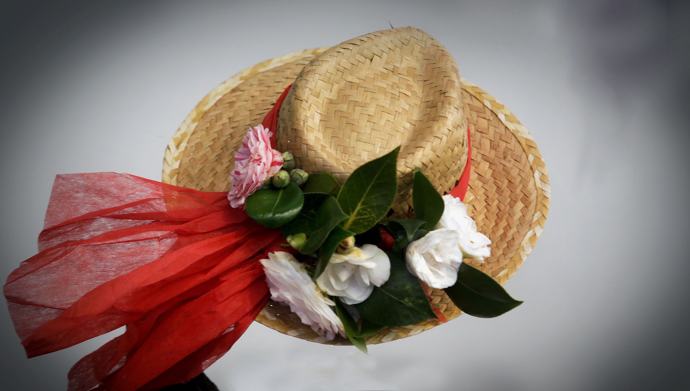 Detalle da exposicin da camelia en Vilanova. 28/02/2025