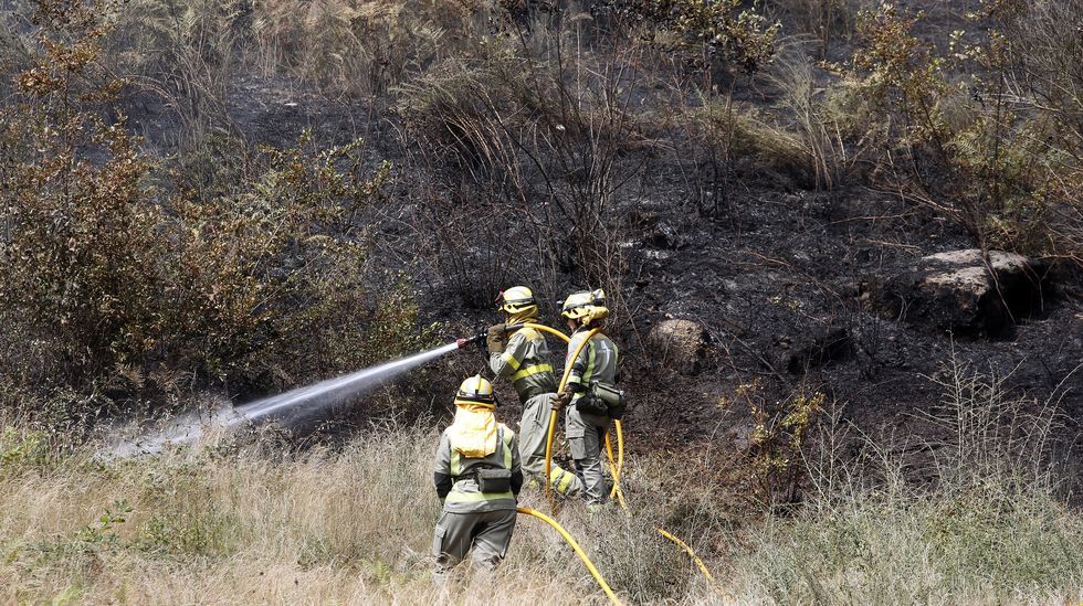 Incendio forestal en Aguasantas