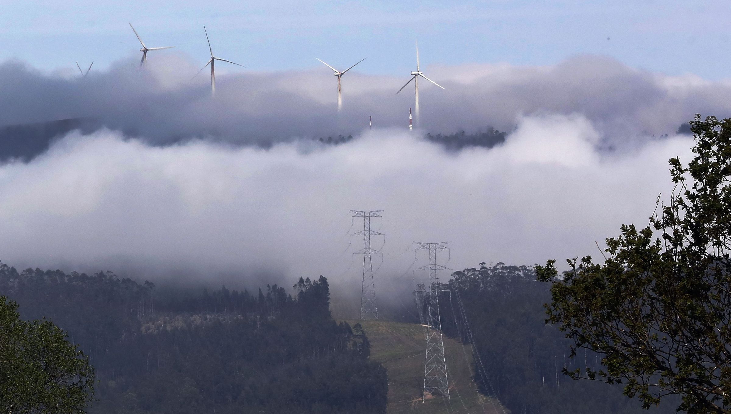 N�boa nos montes do Cadram�n en Valadouro. 13/04/2024