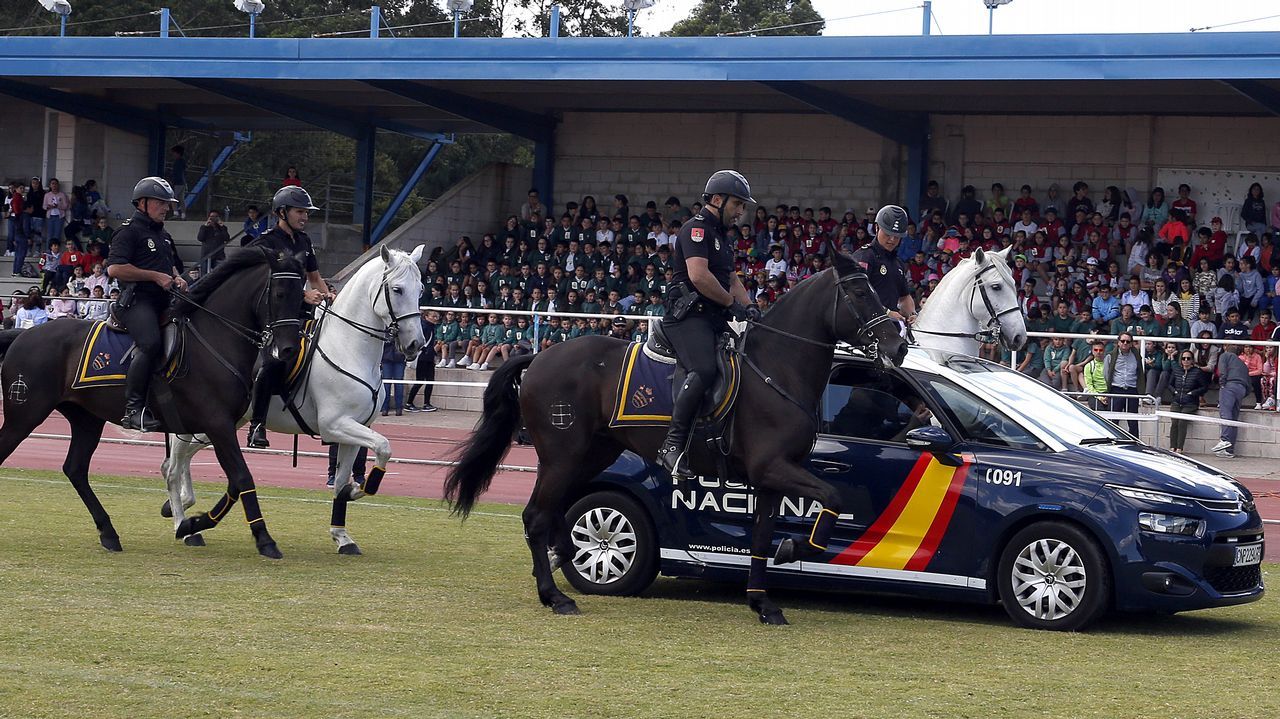 Exhibicion de la Policía Nacional para los escolares de Ribeira con helicoptero, caballería, perros de rastreo