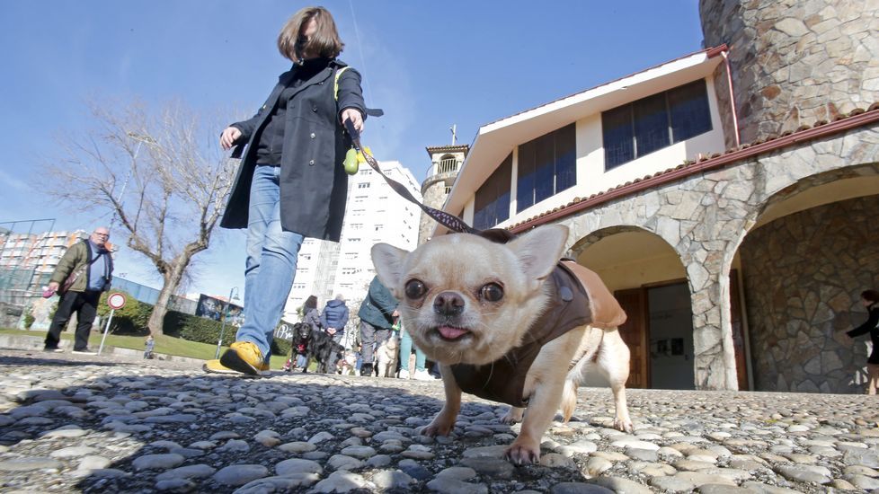 Bendición de mascotas en la iglesia de Campolongo