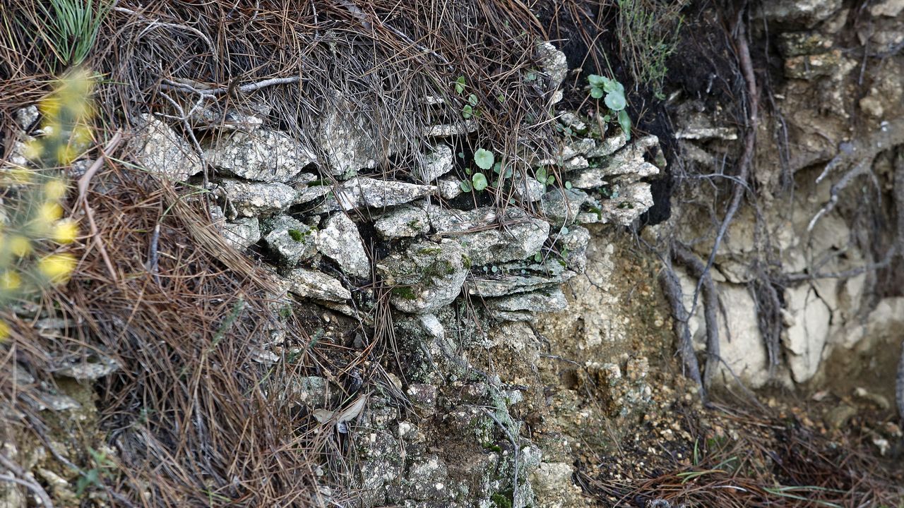Restos no monte da Croa