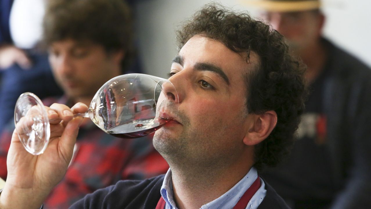 Fevino, cata en el túnel del vino