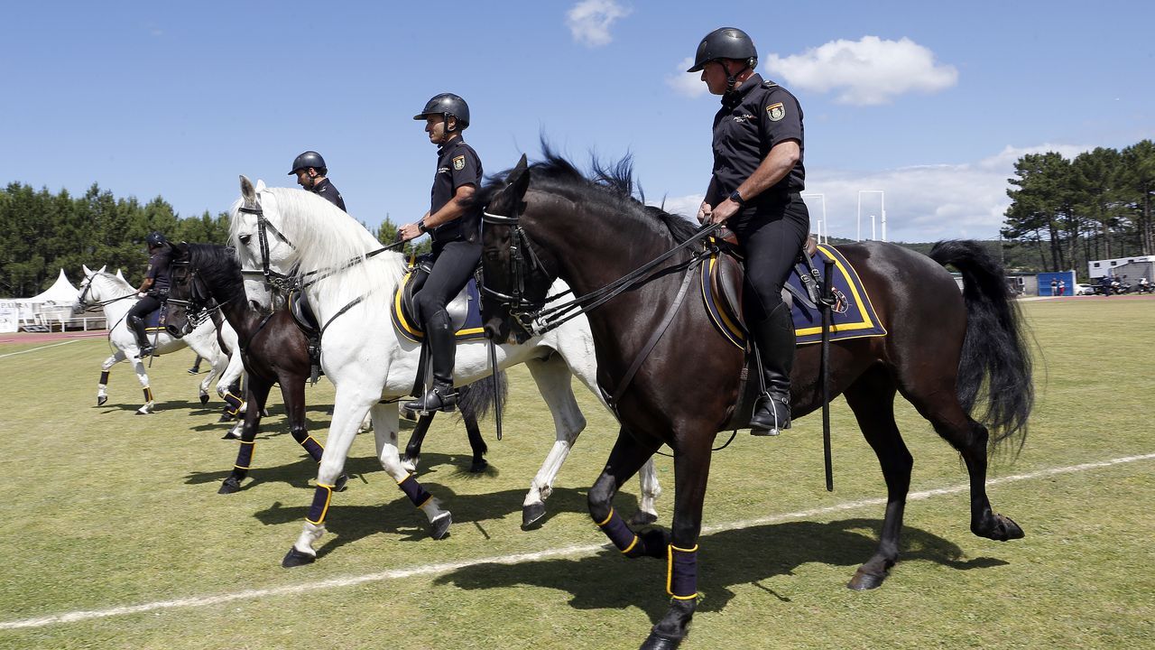Exhibicion de la Policía Nacional para los escolares de Ribeira con helicoptero, caballería, perros de rastreo