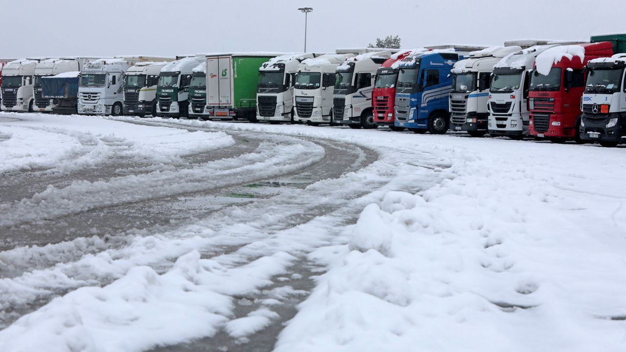 Camiones estacionados en el´Àrea de Guissona (Lleida) en la A2