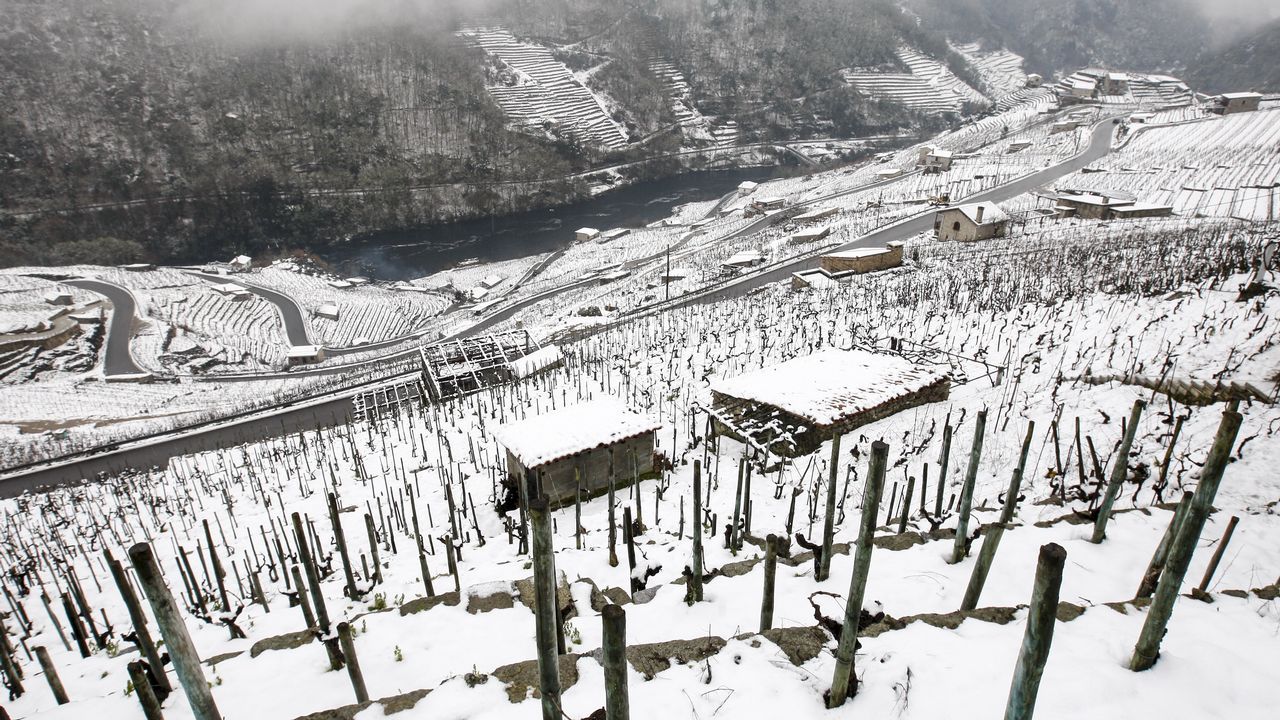 La nieve que deja el temporal cubre los bancales de las viñas de la Ribeira de San Fiz.