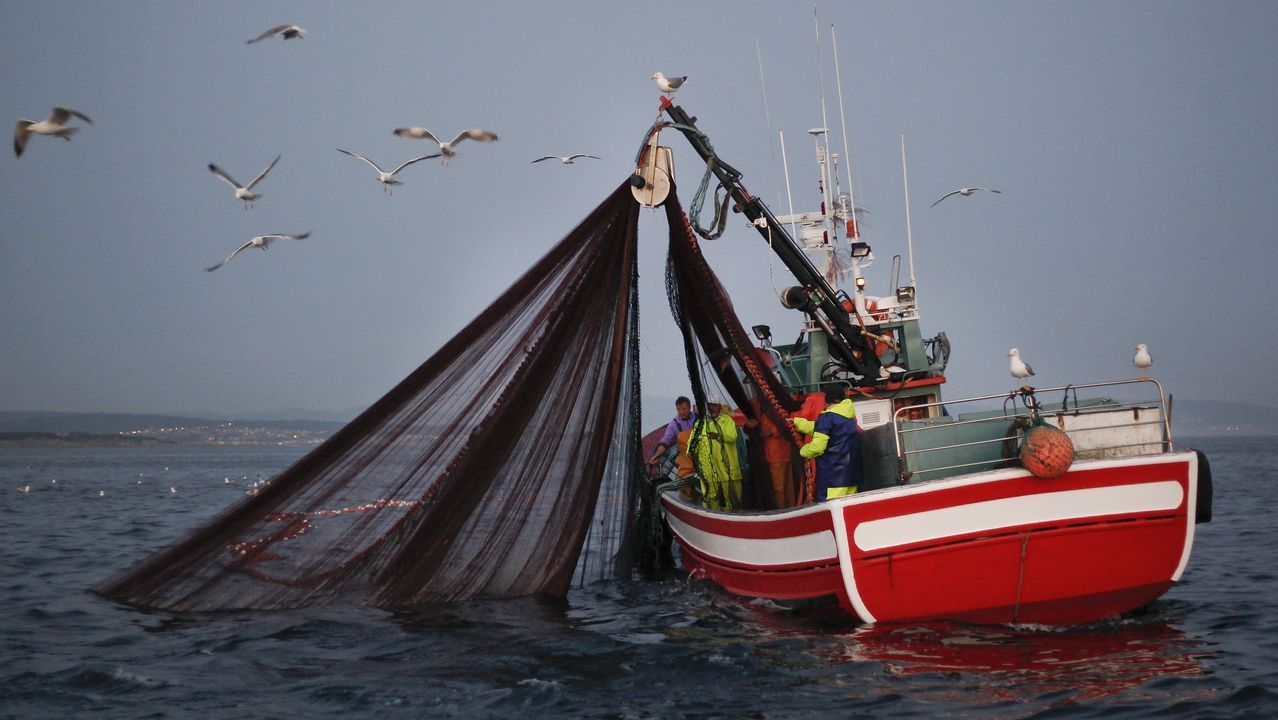 Pesca de sardina para San Juan.