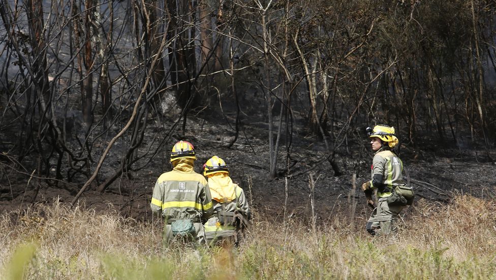 Incendio forestal en Aguasantas