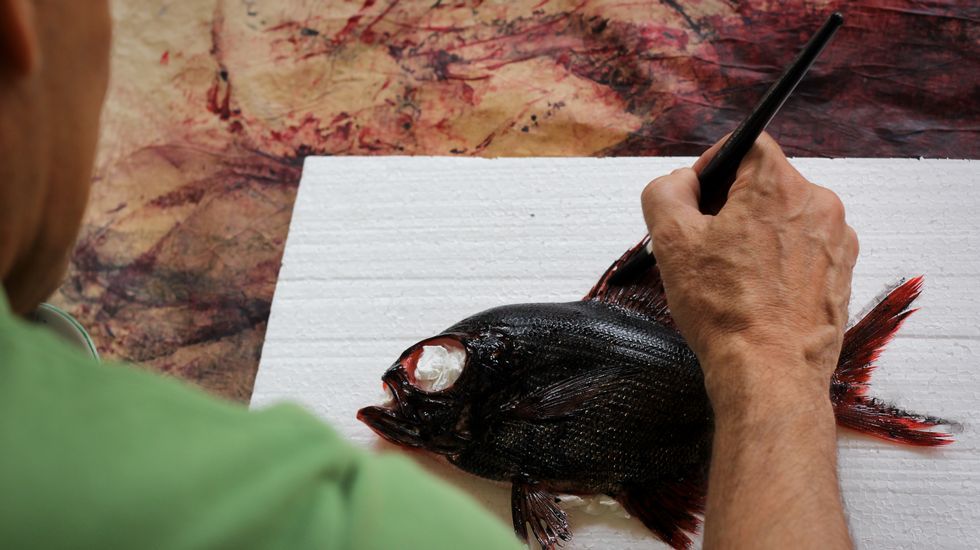 peixes de tinta.Las aletas son el último paso, la tinta tiene que entrar en todas las líneas