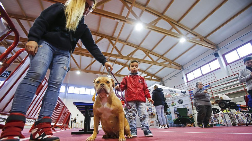 III Exposición Canina de Ponte Caldelas