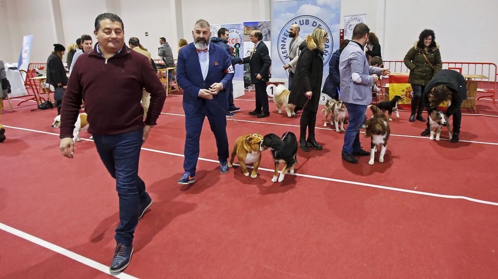 III Exposición Internacional Canina de Ponte Caldelas