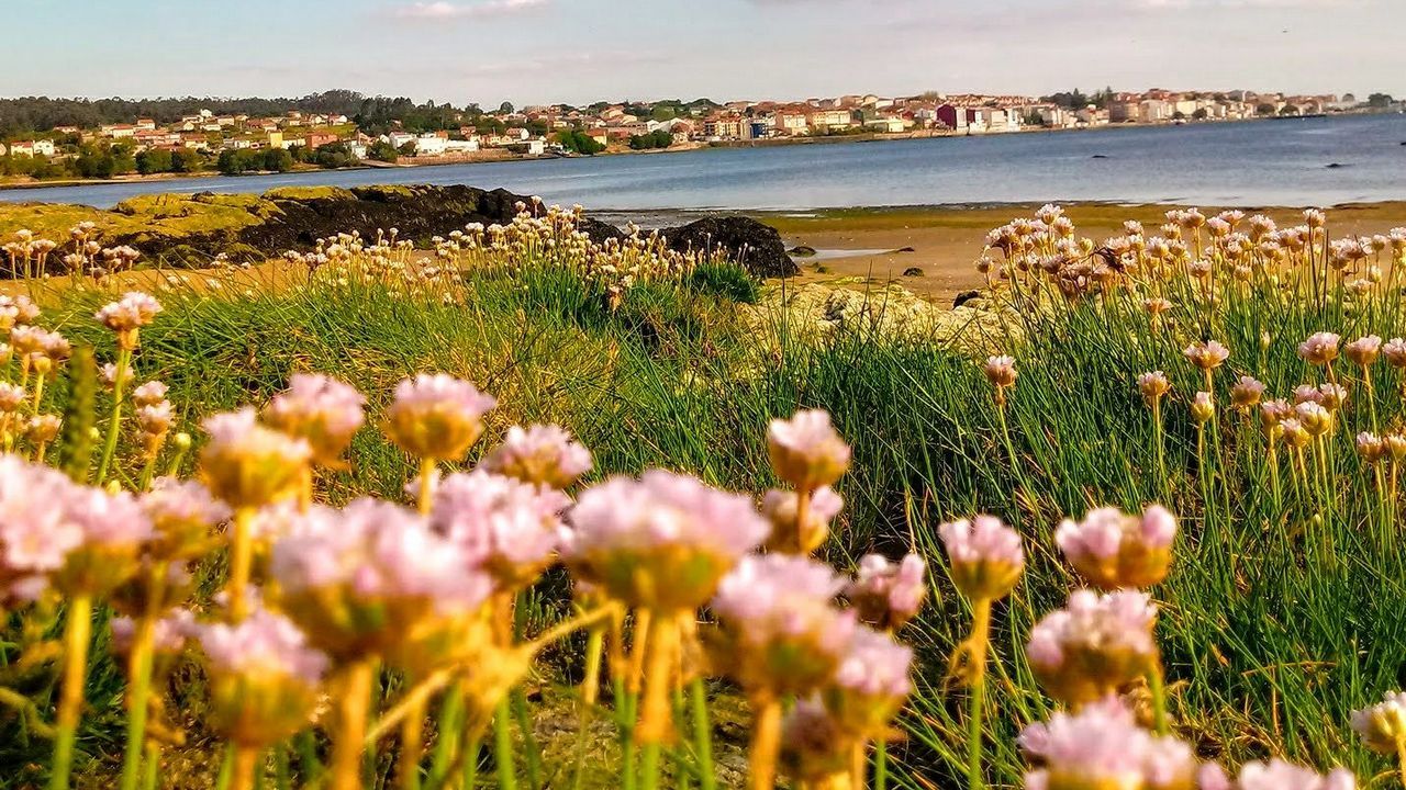 Arranca la la vista preliminar del caso Diana Quer.Clara Millares, en el mismo instante en que los �rbitros la declararon vencedora