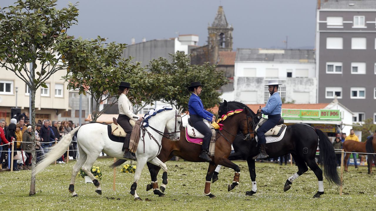 Feria caballar en las Fiestas de San Marcos 2019
