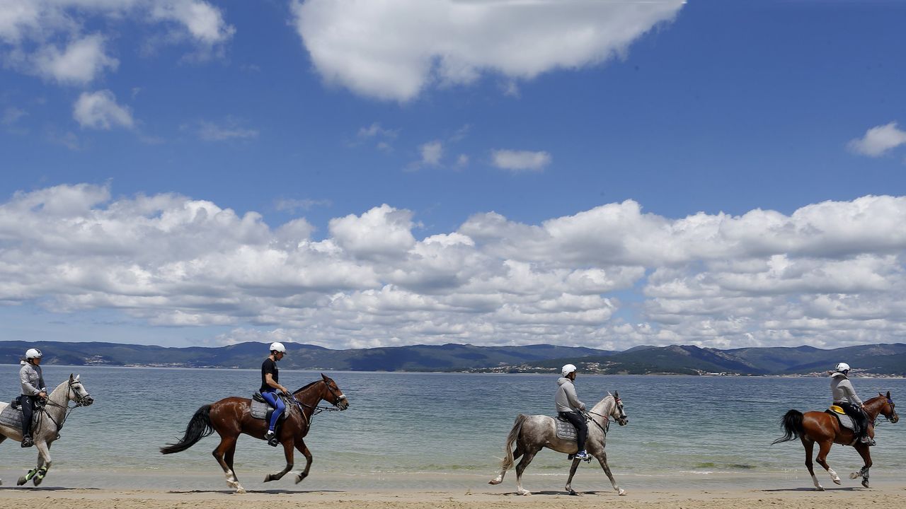 RESUMEN DEL AÑO 2019.El mundo del caballo crece en O Son
