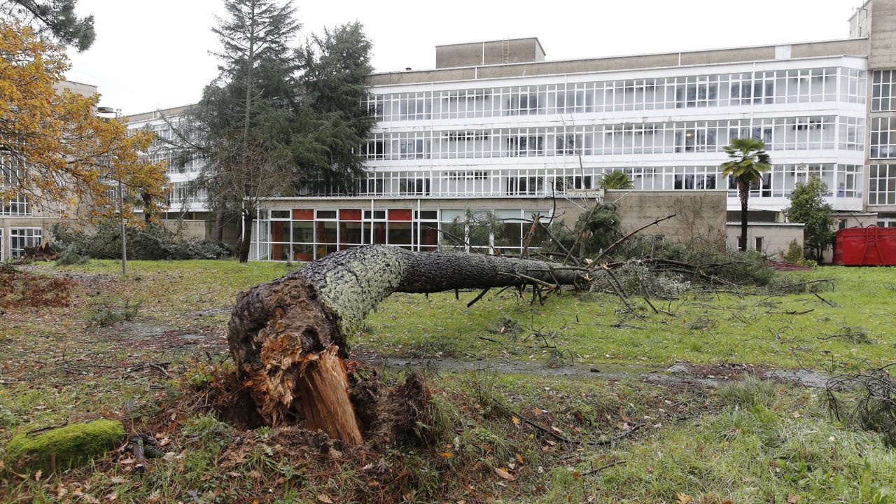 ASÍ HA CASTIGADO EL TEMPORAL A OURENSE.Las comarcas de A Limia y de Verín han sufrido daños en el campo y en edificaciones