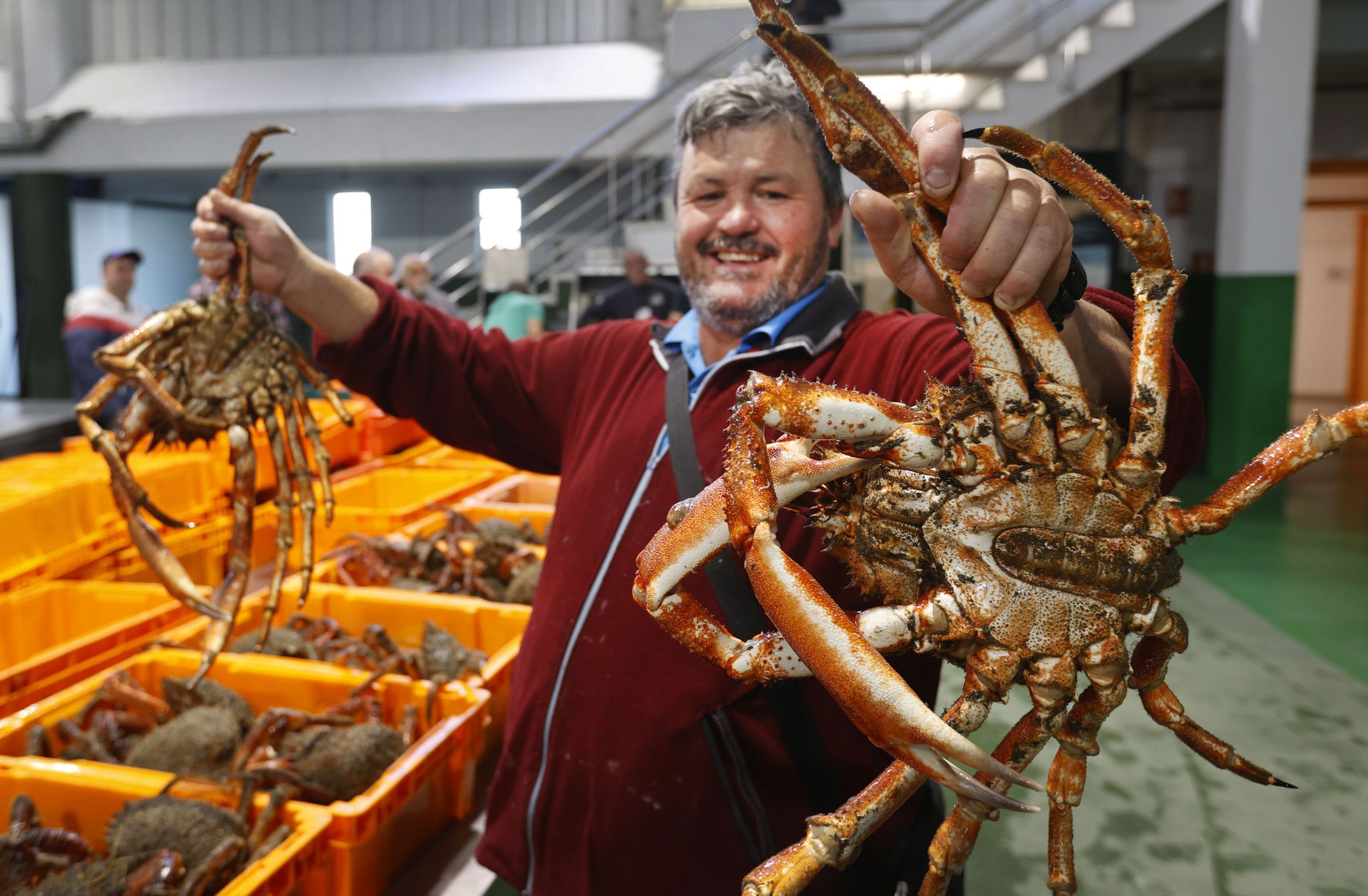 Apertura da veda da centola en Bueu. 11/11/2024