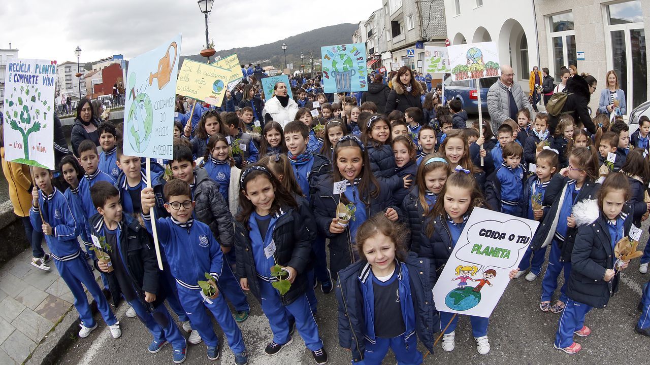 Voz Natura final del colegio Jaime Balmes, entrega de brotes de hortalizas de su huerto escolar 2020