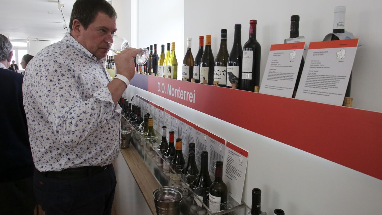 Fevino, cata en el túnel del vino