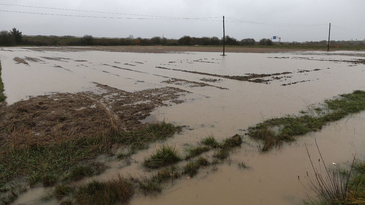 ASÍ HA CASTIGADO EL TEMPORAL A OURENSE.Las comarcas de A Limia y de Verín han sufrido daños en el campo y en edificaciones