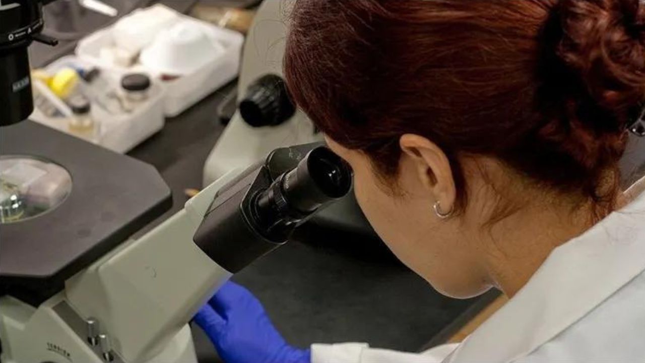 Imagen de archivo de un laboratorio cient�fico