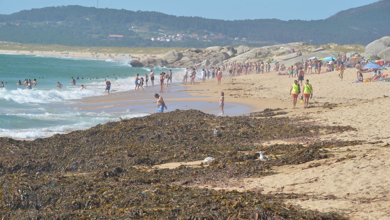 RESUMEN DEL AÑO 2019.Las algas inundaron la playa de O Vilar