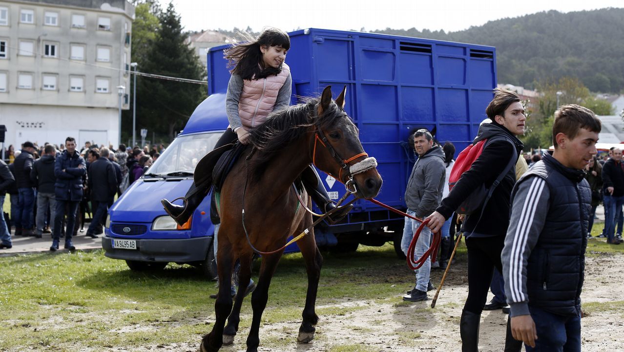 Feria caballar en las Fiestas de San Marcos 2019