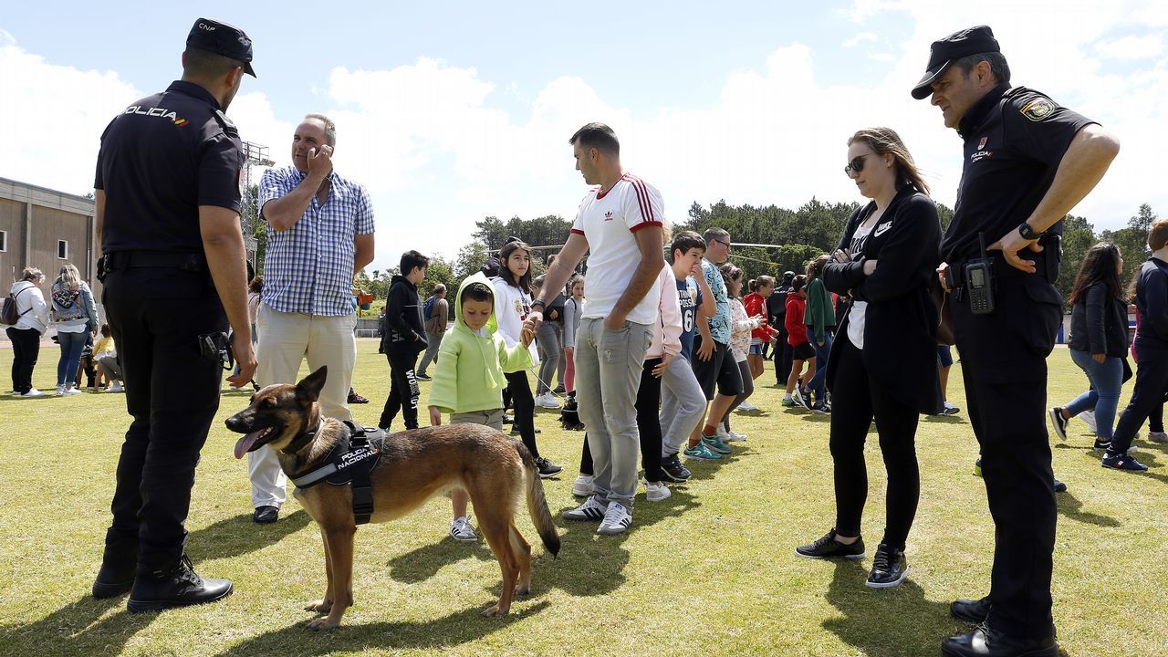 Exhibicion de la Policía Nacional para los escolares de Ribeira con helicoptero, caballería, perros de rastreo