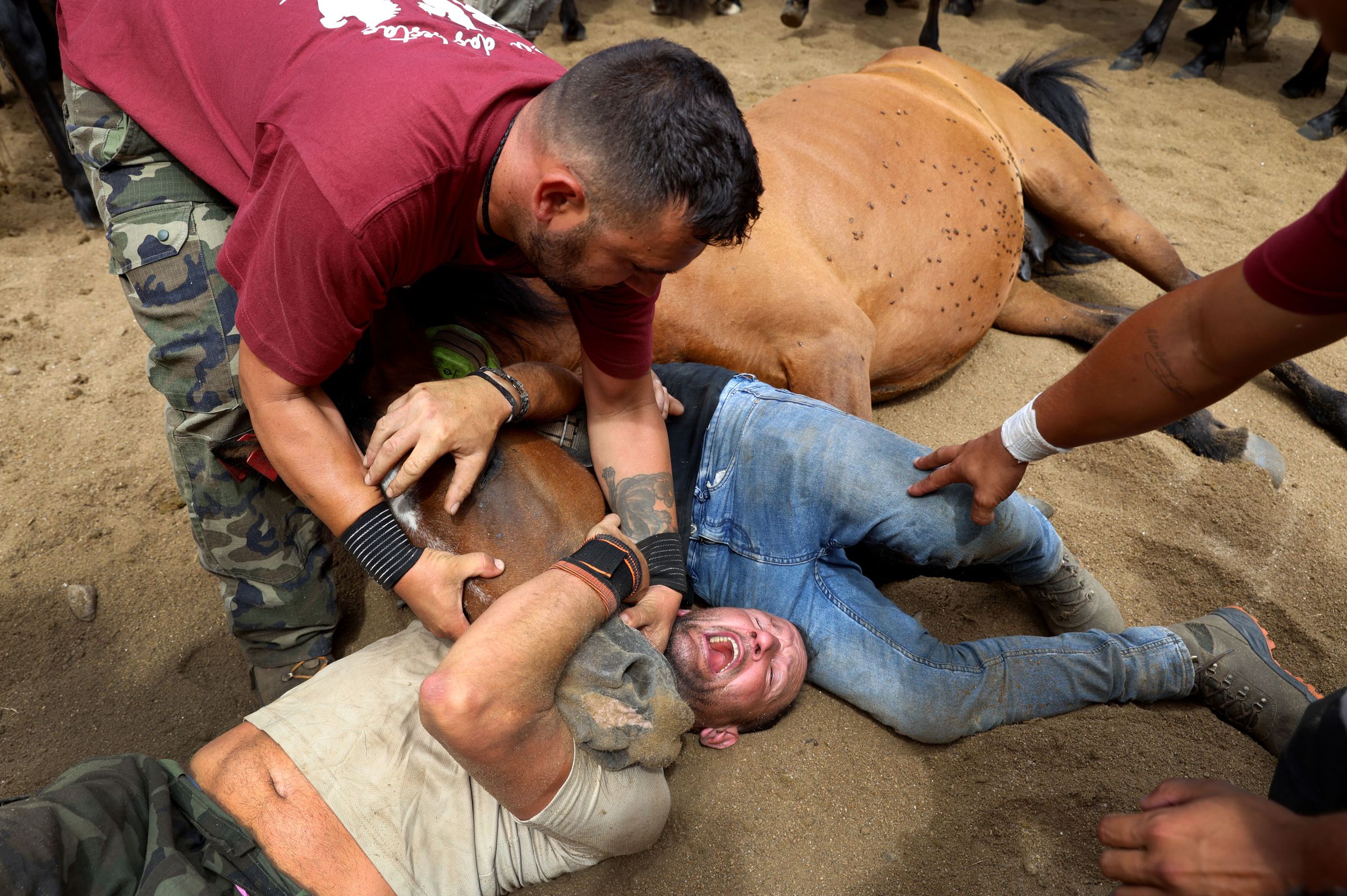 Rapa das Bestas de Amil en Moaa. 13/07/2025