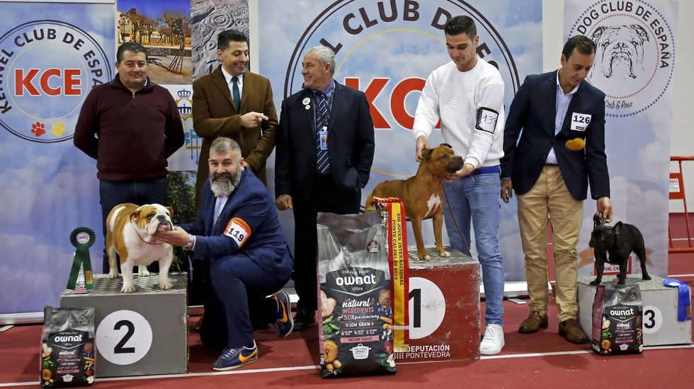 III Exposición Internacional Canina de Ponte Caldelas
