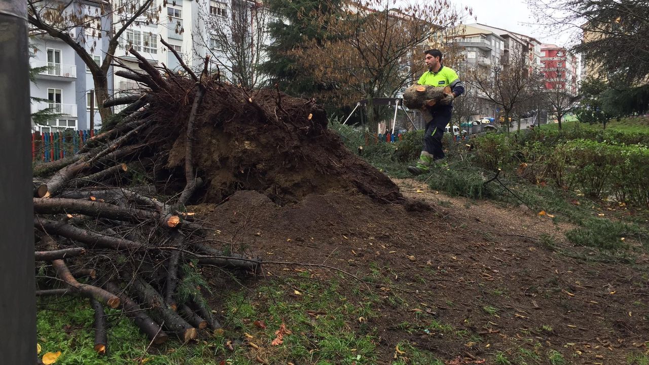 ASÍ HA CASTIGADO EL TEMPORAL A OURENSE.Operarios municipales trabajan en el parque de las Zapatillas, en la capital