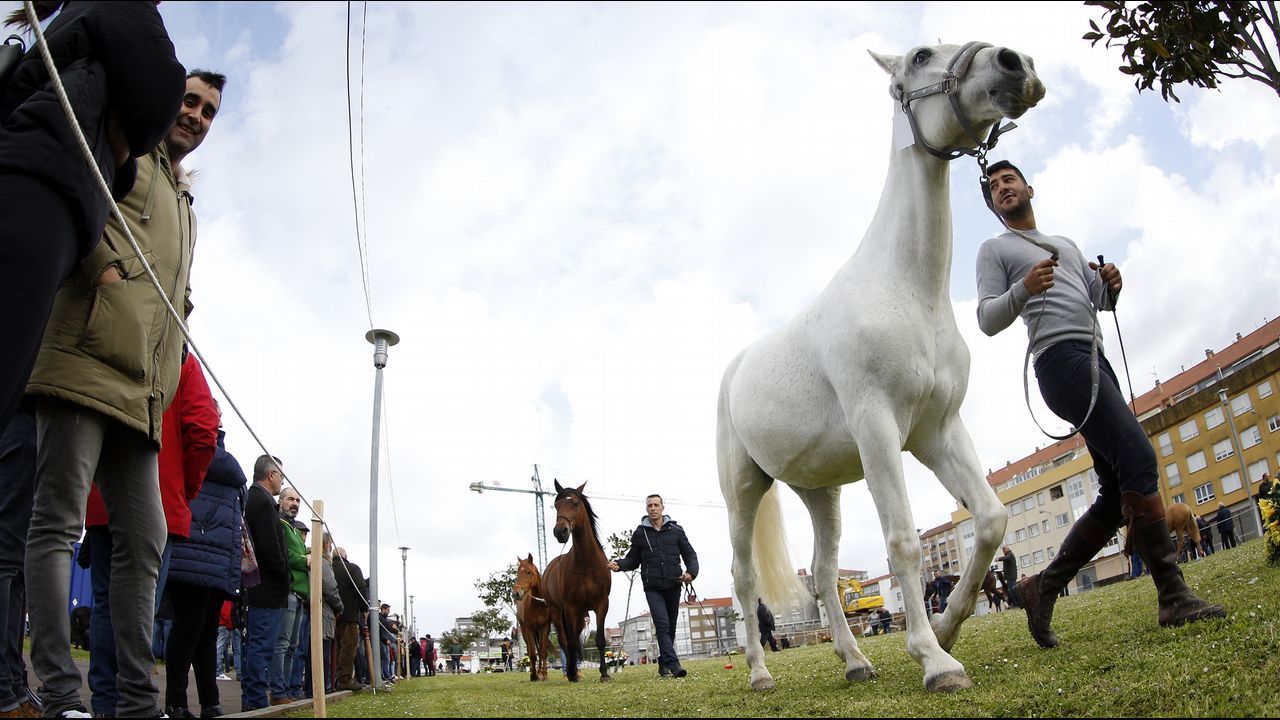 Feria caballar en las Fiestas de San Marcos 2019