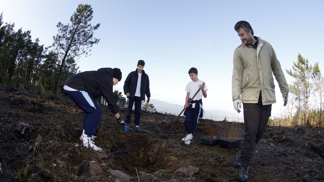 Salida de reforestación en Lousame-Noia, plantación de árboles en Froxán alumnos del colegio Colegio San José de Cluny
