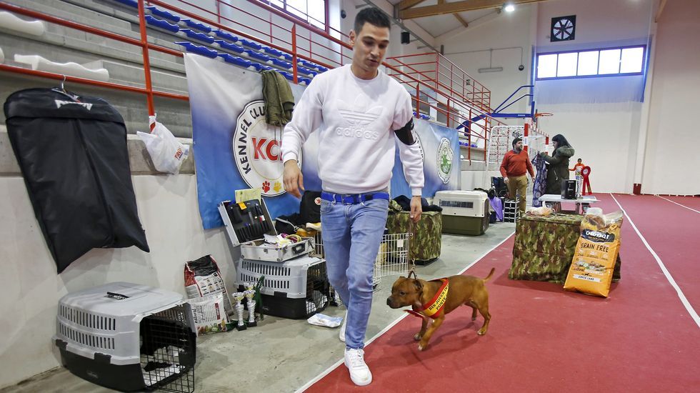 III Exposición Internacional Canina de Ponte Caldelas