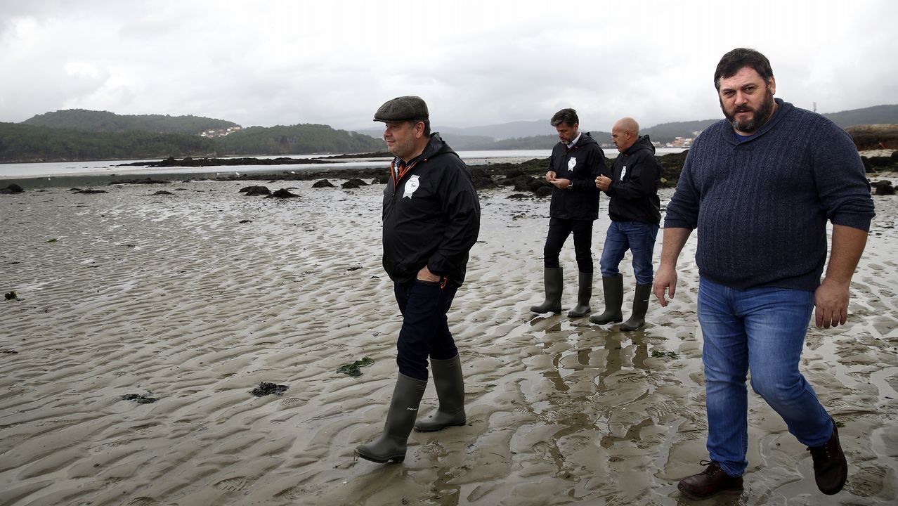 Alberto Chicote visita los bancos marisqueros de Testal en Noia