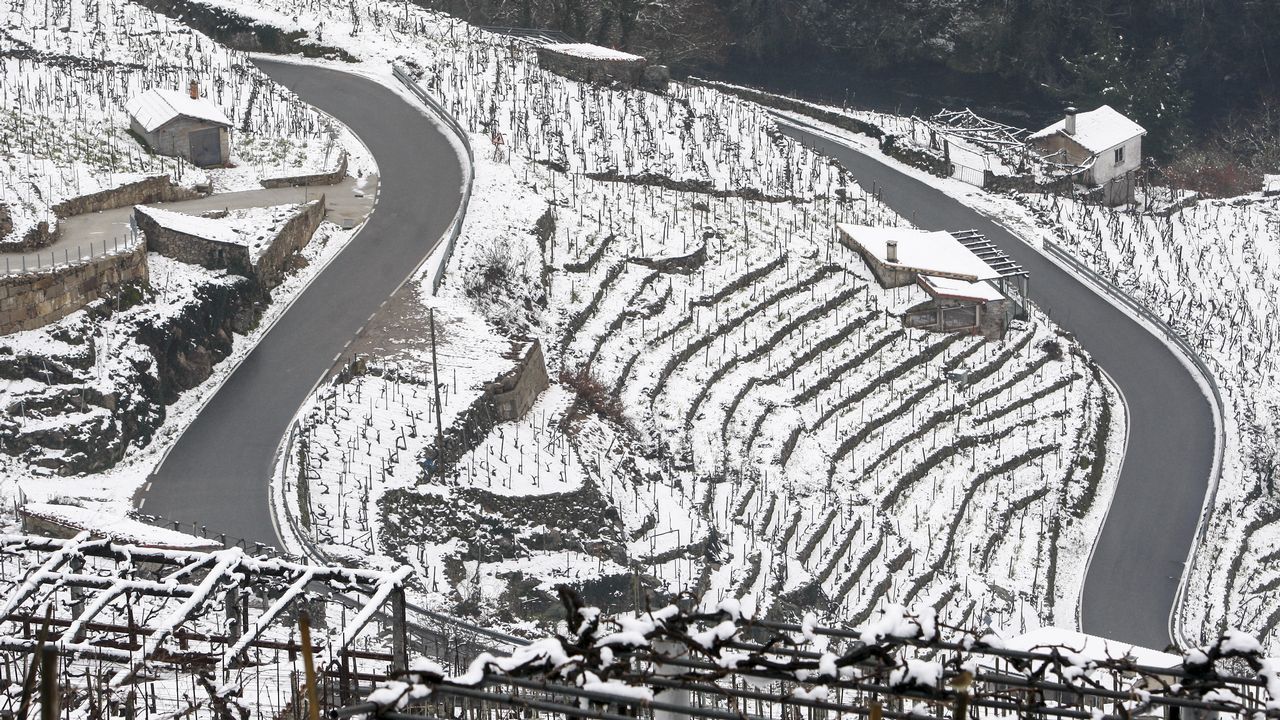La nieve que deja el temporal cubre los bancales de las viñas de la Ribeira de San Fiz.