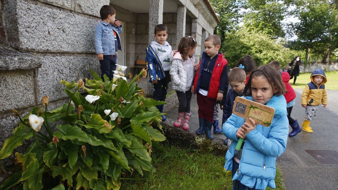 Alumnos de escuela unitaria del Saiar, que pertenece al CRA de Caldas de Reis, colocaron ayer los tableros con los códigos QR