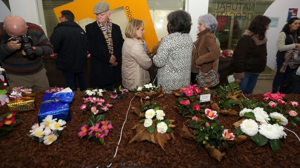 Exposición de la camelia en Boiro