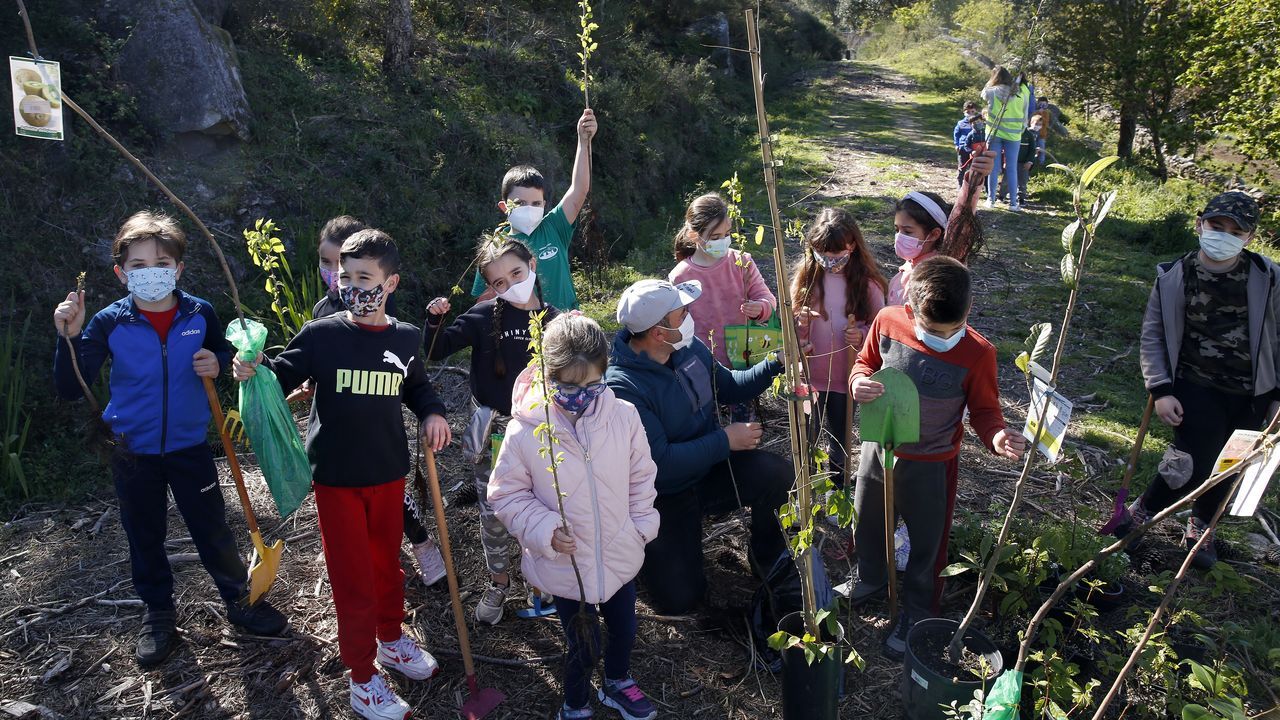 La comunidad de montes de Baroña continua con su bosque comestible