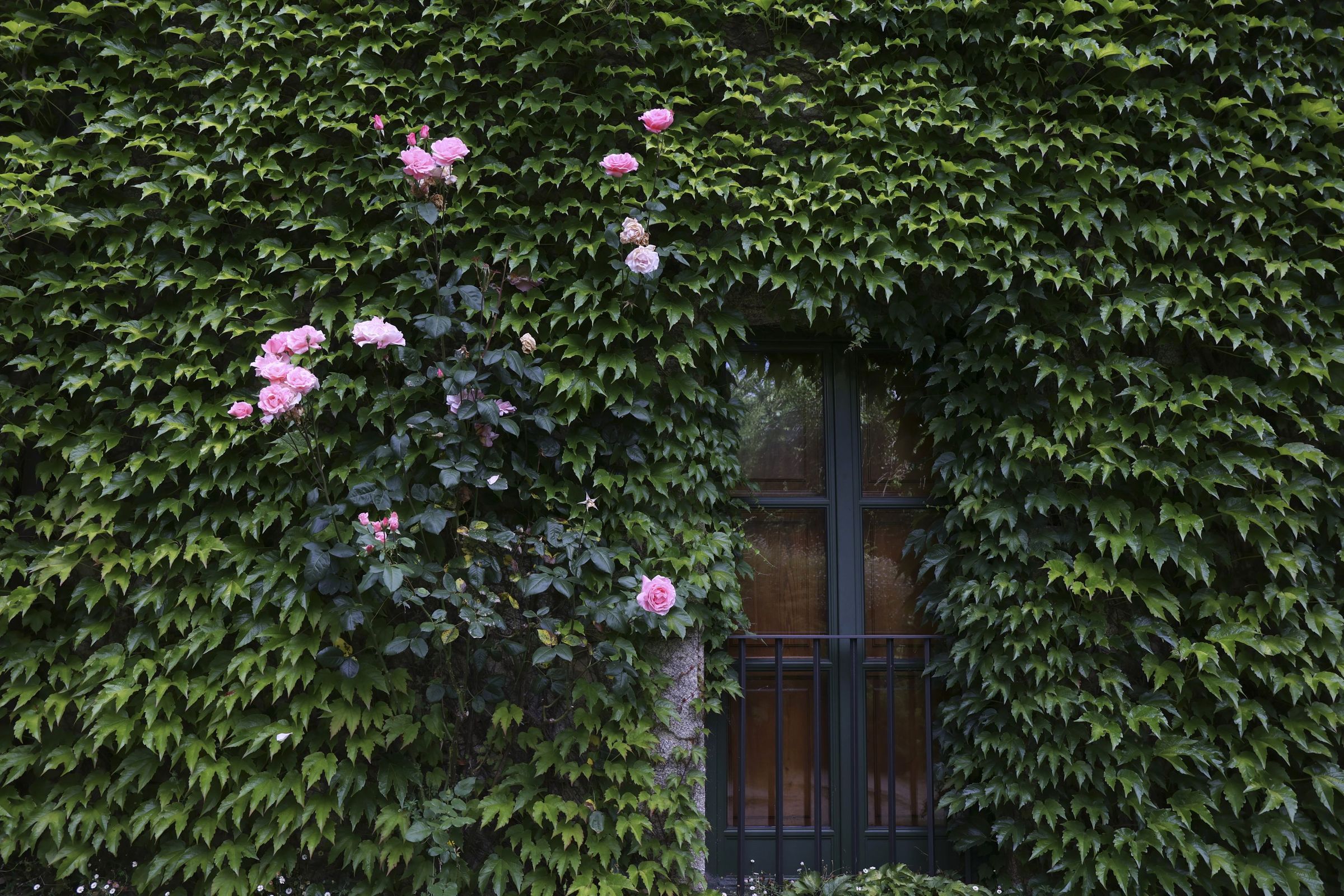 Detalle do hotel A Quinta da Auga, en Santiago de Compostela. 06/06/2024