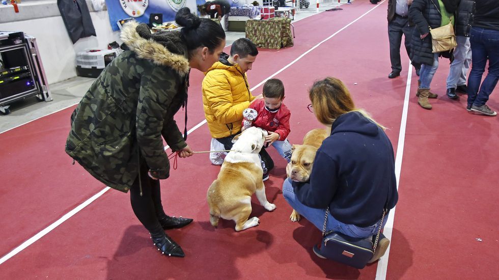 III Exposición Canina de Ponte Caldelas