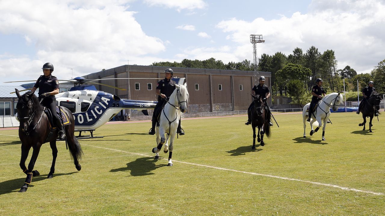 Exhibicion de la Policía Nacional para los escolares de Ribeira con helicoptero, caballería, perros de rastreo