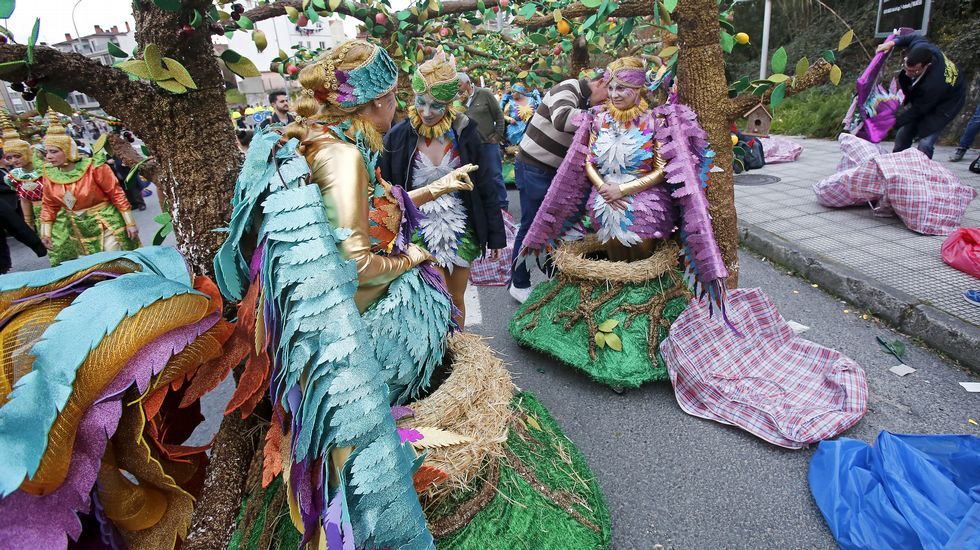 Desfile de Carnaval de Pontevedra