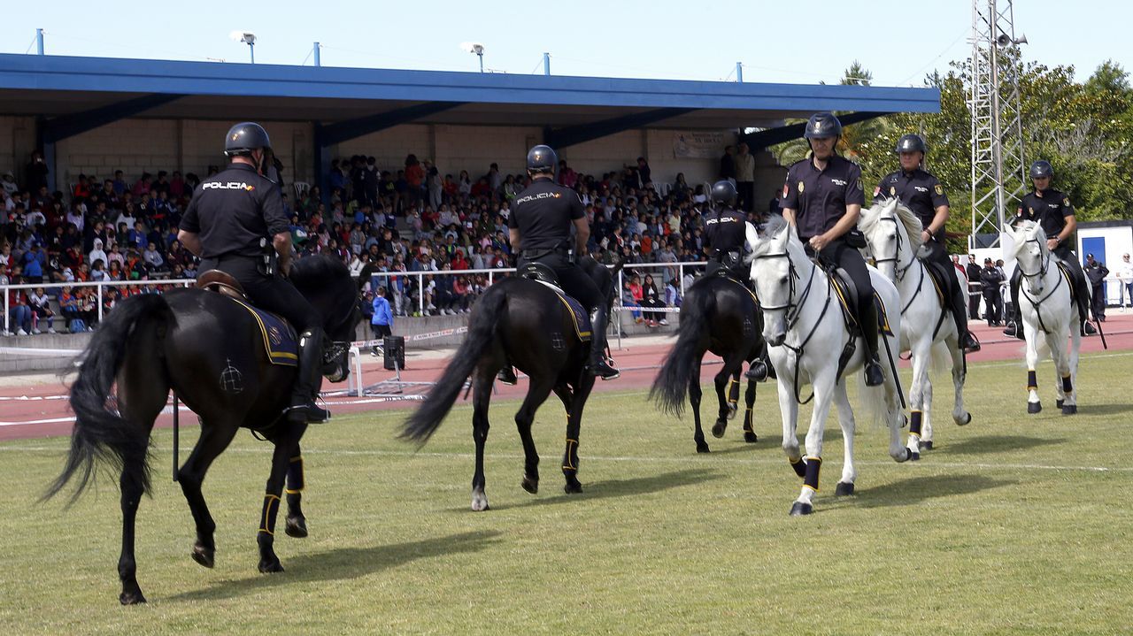 Exhibicion de la Policía Nacional para los escolares de Ribeira con helicoptero, caballería, perros de rastreo