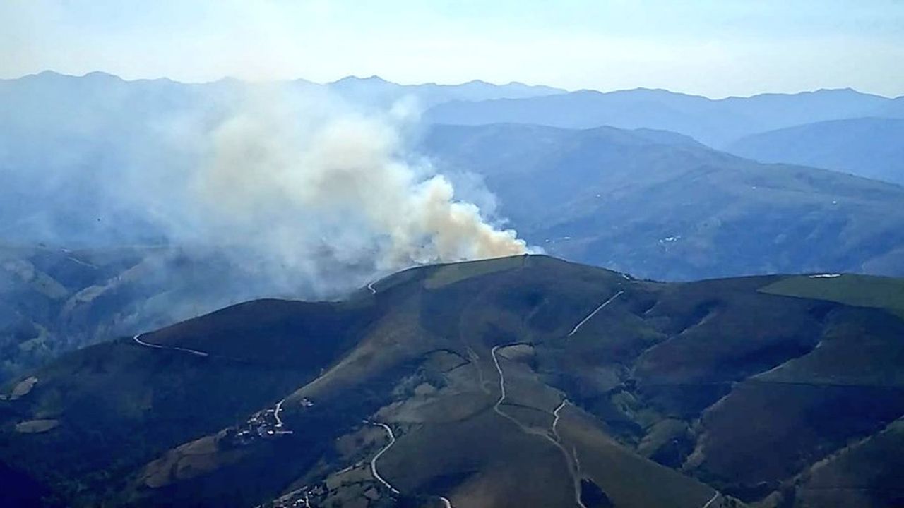 La agon�a de la osa de Proaza.Incendio en Linares del Acebo, Cangas del Narcea