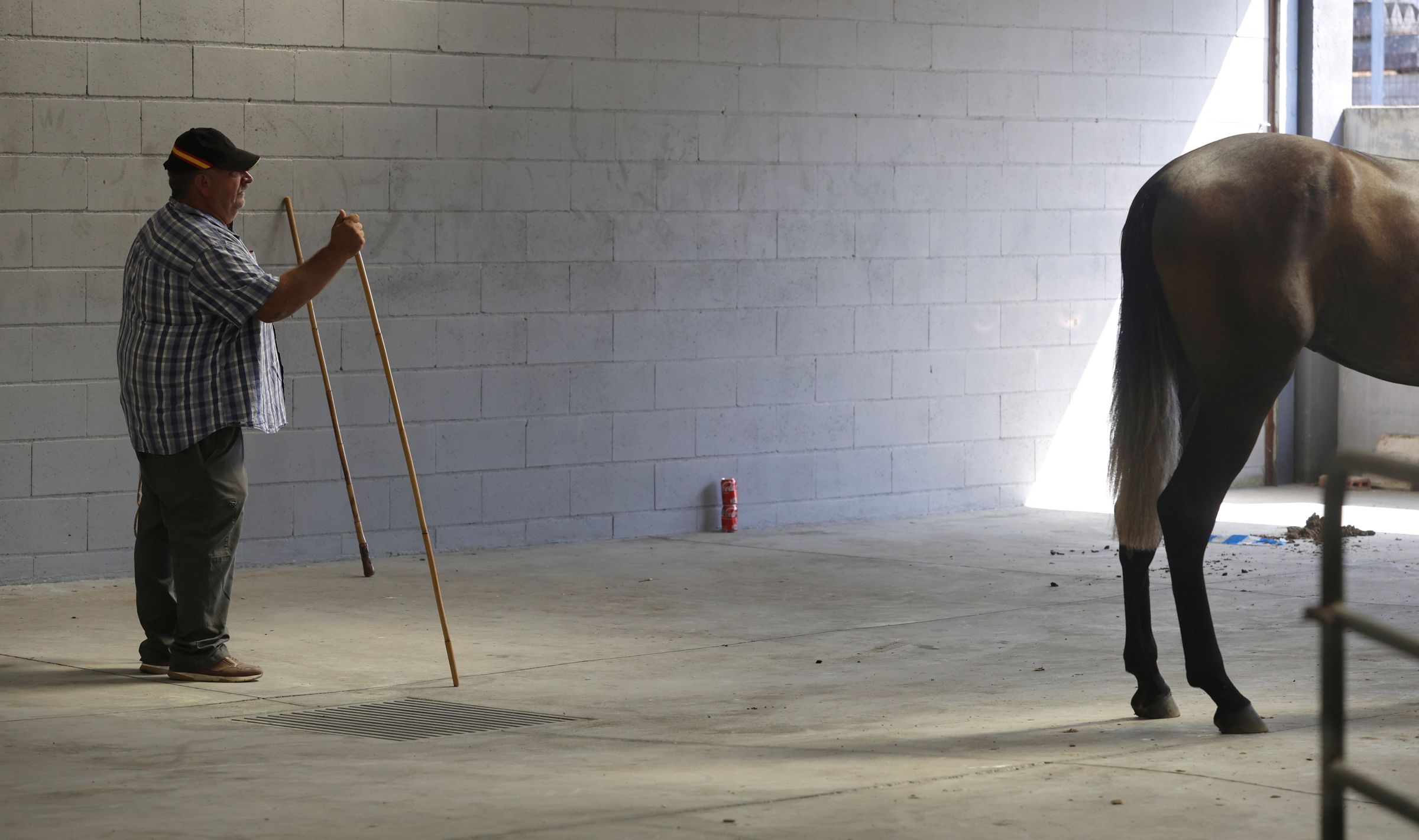 Feira do cabalo de Meis. 15/08/2025