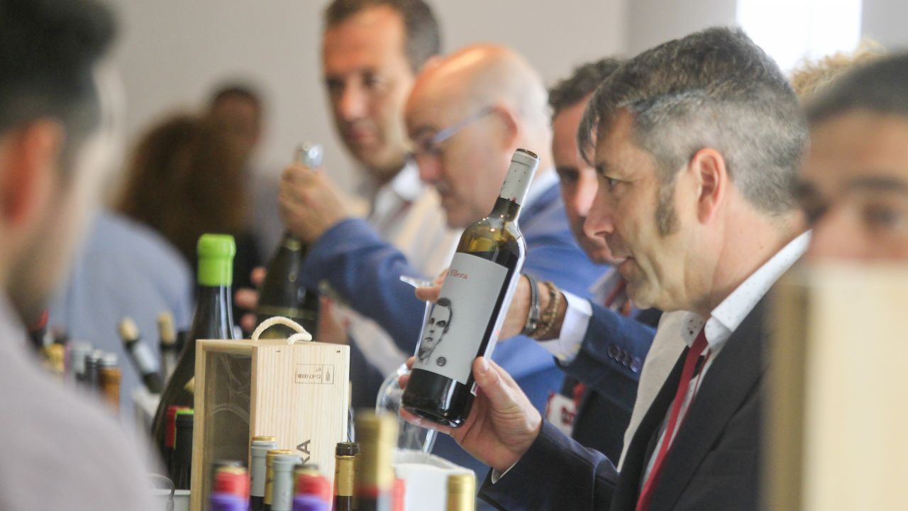 Túnel del vino en Fevino