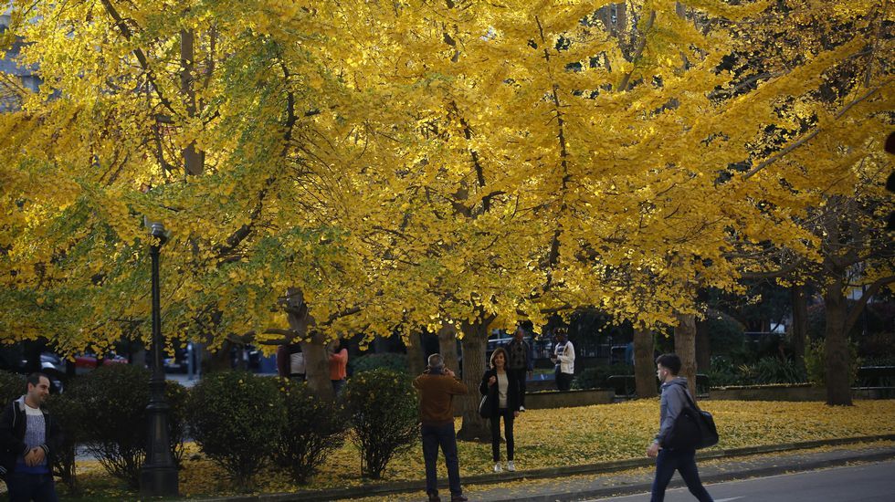 Otoño en Cuatro Caminos